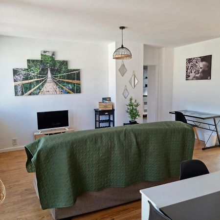 Le Belvedere Vue Pyrenees, Familiale, Centre Tarbes Apartment Exterior photo